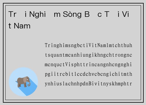 Trải Nghiệm Sòng Bạc Tại Việt Nam